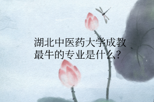 湖北中医药大学成教最牛的专业是什么？